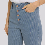 Kasey Stovepipe Ankle Jeans - Malaga Stripe