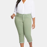 Chloe Skinny Capri Jeans In Plus Size - English Ivy