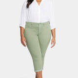 Chloe Skinny Capri Jeans In Plus Size - English Ivy