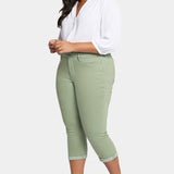 Chloe Skinny Capri Jeans In Plus Size - English Ivy