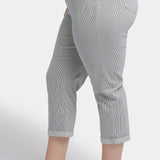 Chloe Skinny Capri Jeans In Plus Size - Luarca Stripe