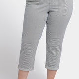 Chloe Skinny Capri Jeans In Plus Size - Luarca Stripe