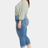 Chloe Capri Jeans In Plus Size - Stargazer